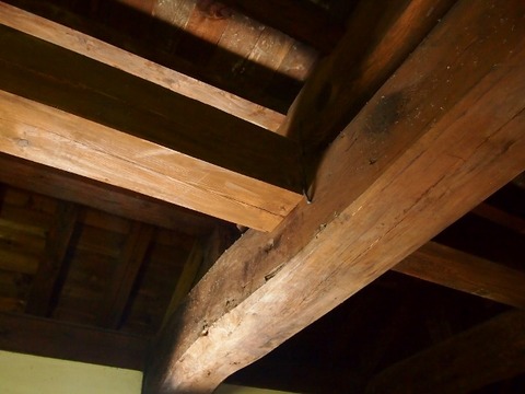 P3207461 (640x480)