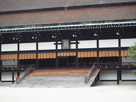 P6030096