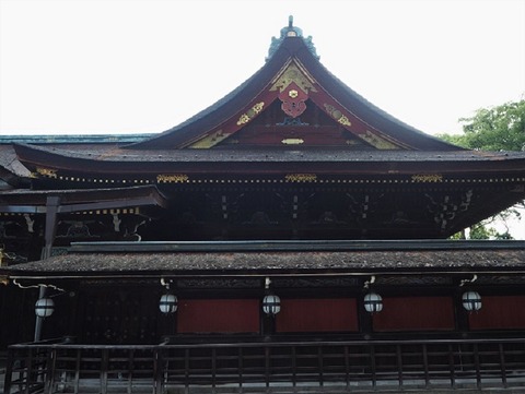 P6030203