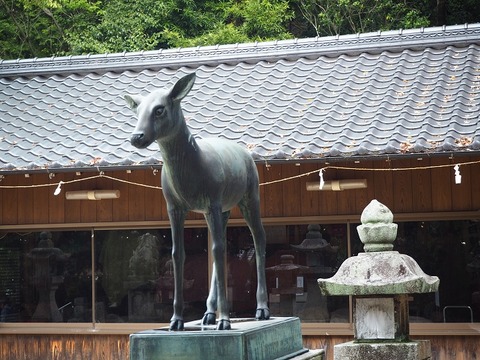 P5011000