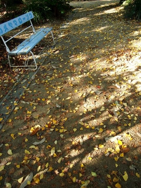 PB163492 (640x480)