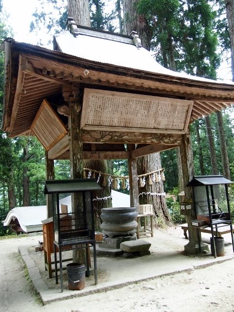 P5303564 (640x480)