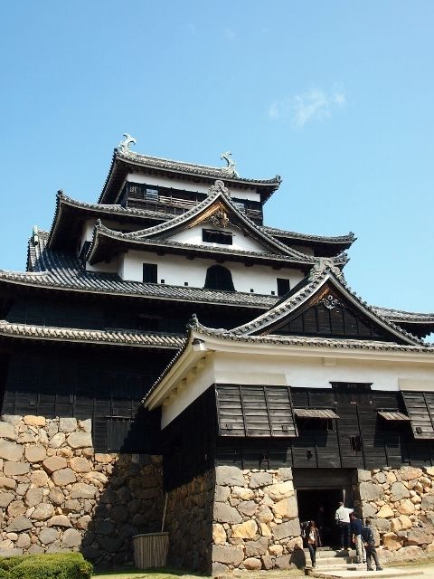 P3207445 (640x480)