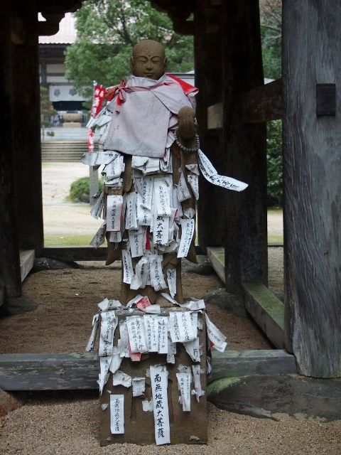 PB069232 (640x480)