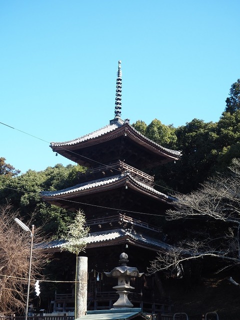 P1031473