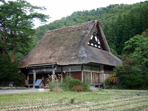 PA187824 (640x480)