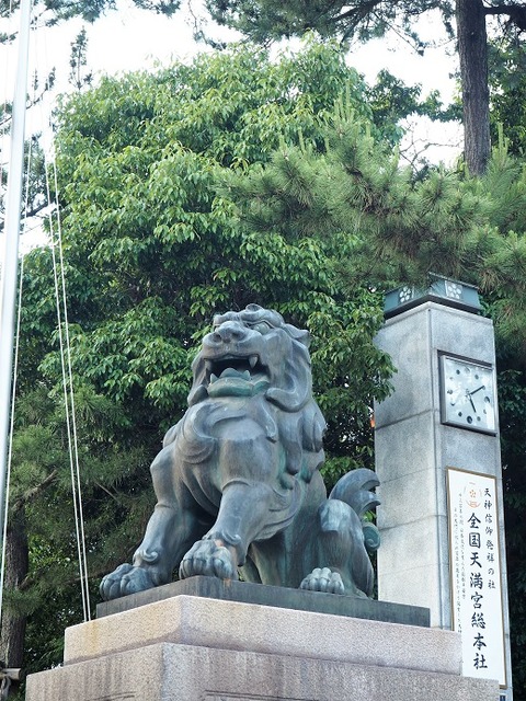 P6030169