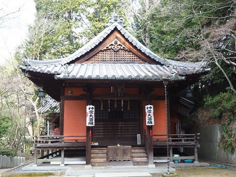 P1031496
