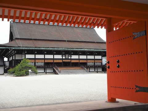P6030085