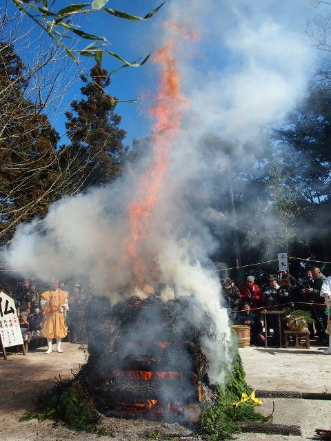 P2156259 (480x640)