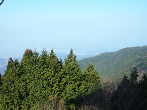 P1045072 (640x480)