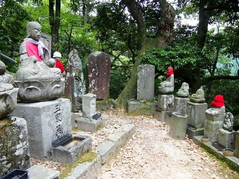 P5303589 (640x480)