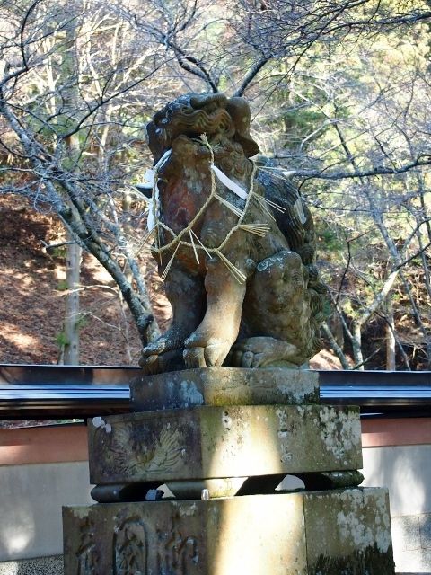 P1045012 (640x480)