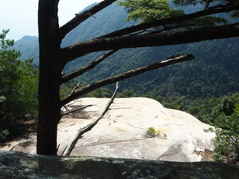 PA090067