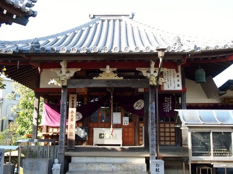 PB163516 (640x480)