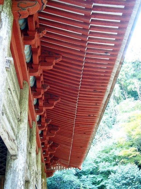 PA157634 (640x480)