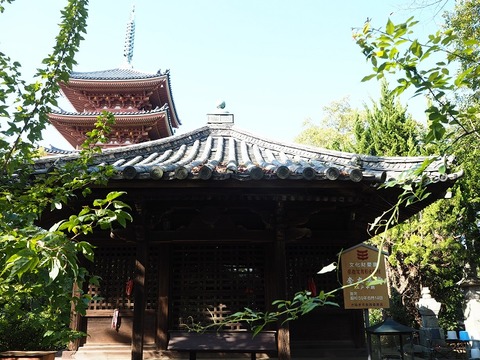 PA290955