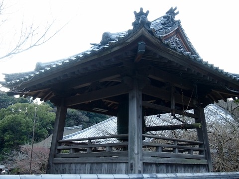P1035285 (640x480)