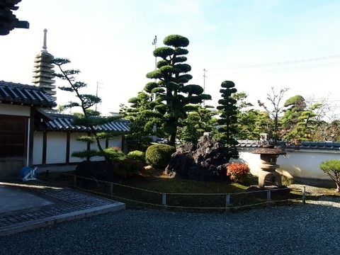 PB163530 (640x480)