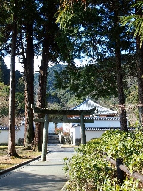 P1235496 (640x480)