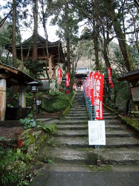 P1196146 (640x480)