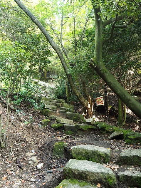 PA090070