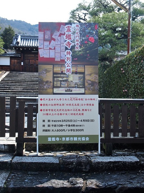 P3274371