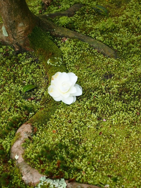 P3274410