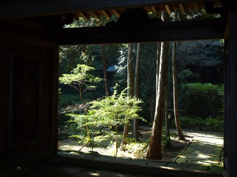 PB129568 (640x480)
