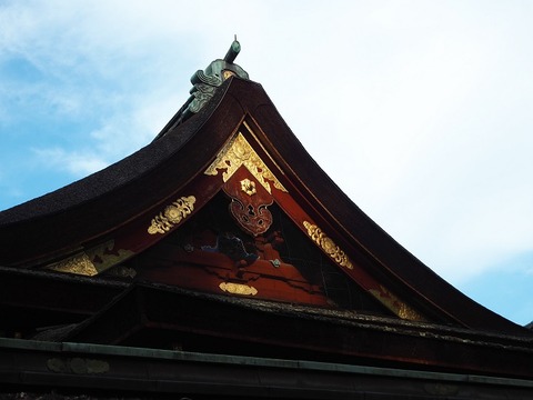P6030208