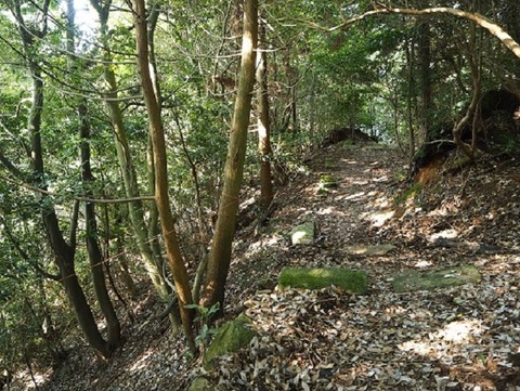 PA090060