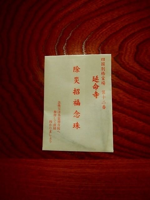 P7305028 (640x480)