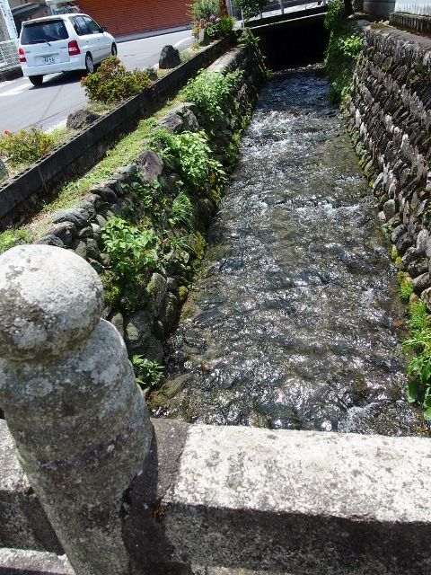 P6284618 (640x480)