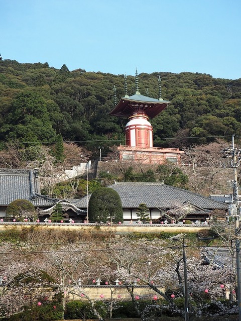 P3260201
