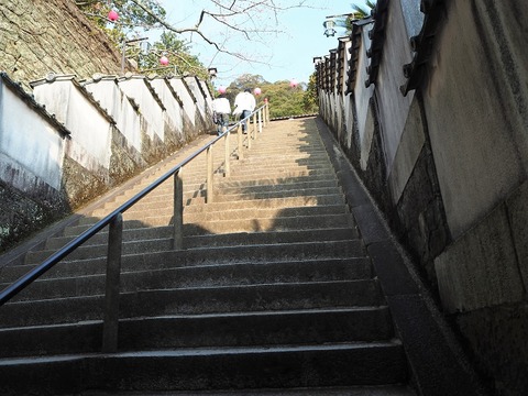 P3260211