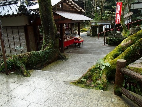 P1196239 (640x480)