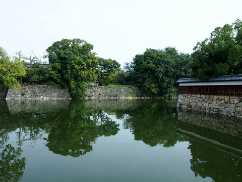 PA027067 (640x480)