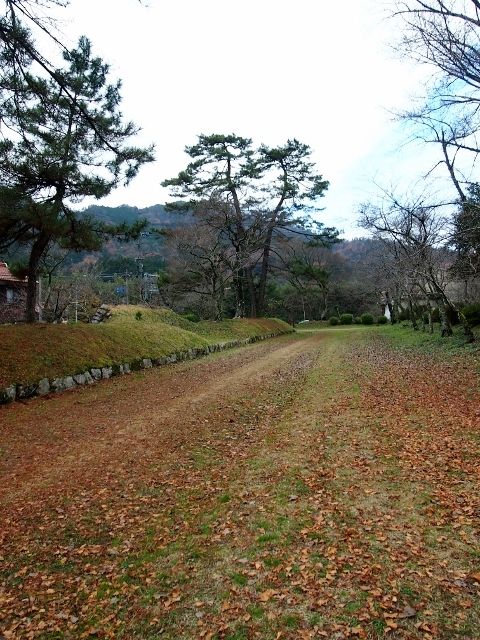 PC124375 (640x480)