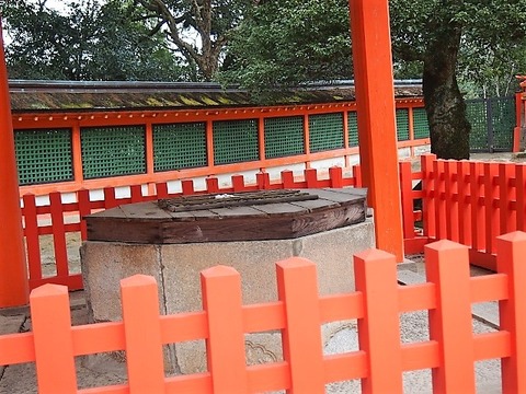 P1221760 (640x480)