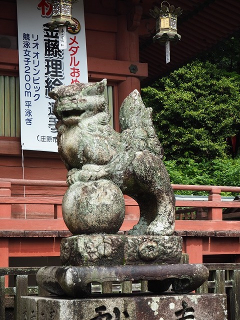 P5130017