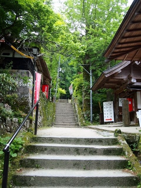 P5303553 (640x480)
