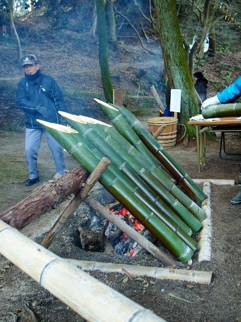P2156169 (480x640)
