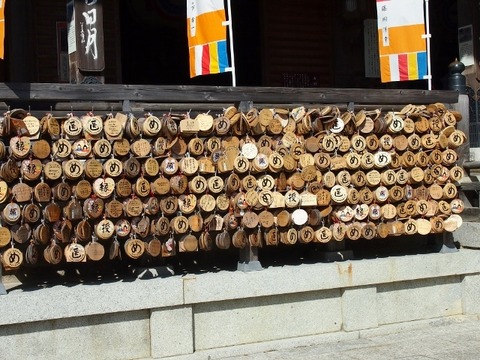 PA157593 (640x480)