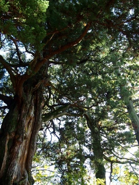 PB163489 (640x480)