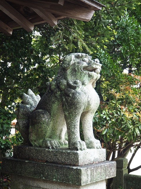 P5011002