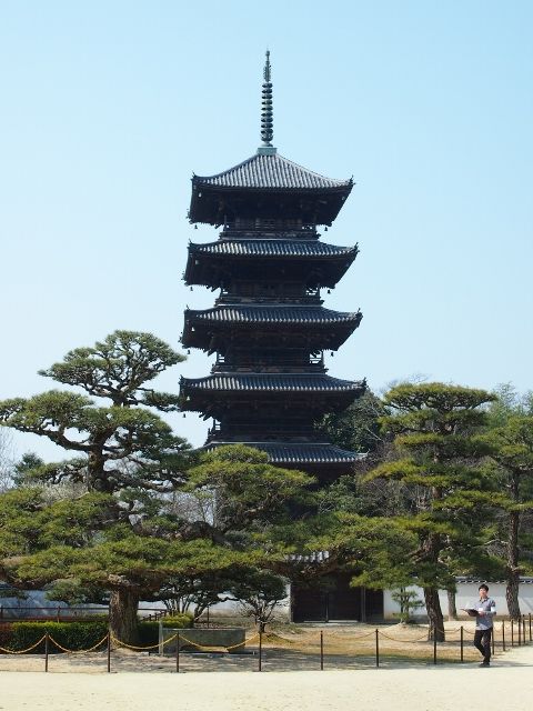 P3056950 (640x480)