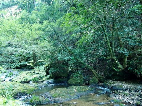 PA157609 (640x480)