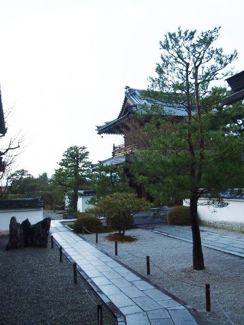 P1196121 (640x480)