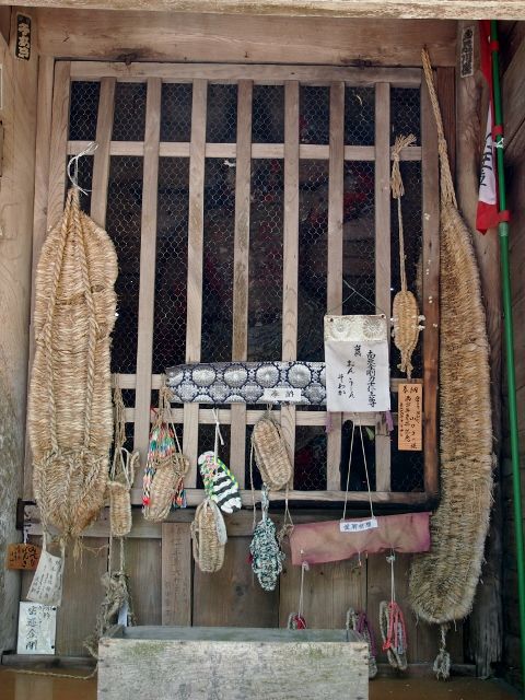 P5303536 (480x640)
