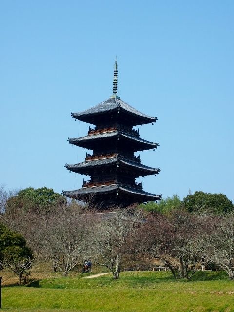 P3056936 (640x480)